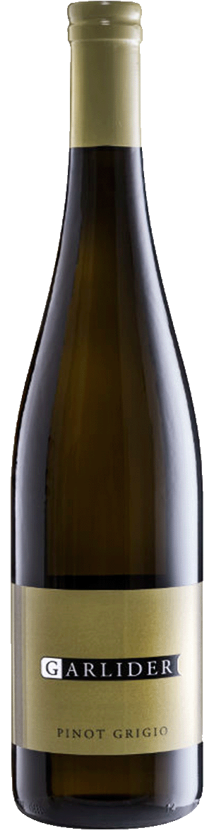 Pinot Grigio Bio 2022 1