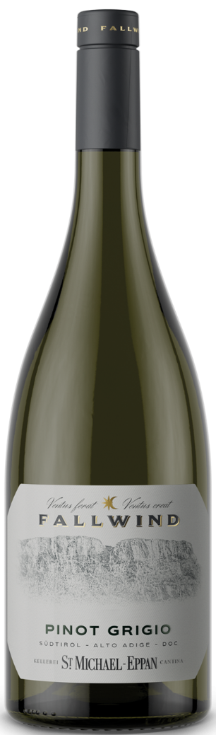 Pinot Grigio „Fallwind“ 2024 1