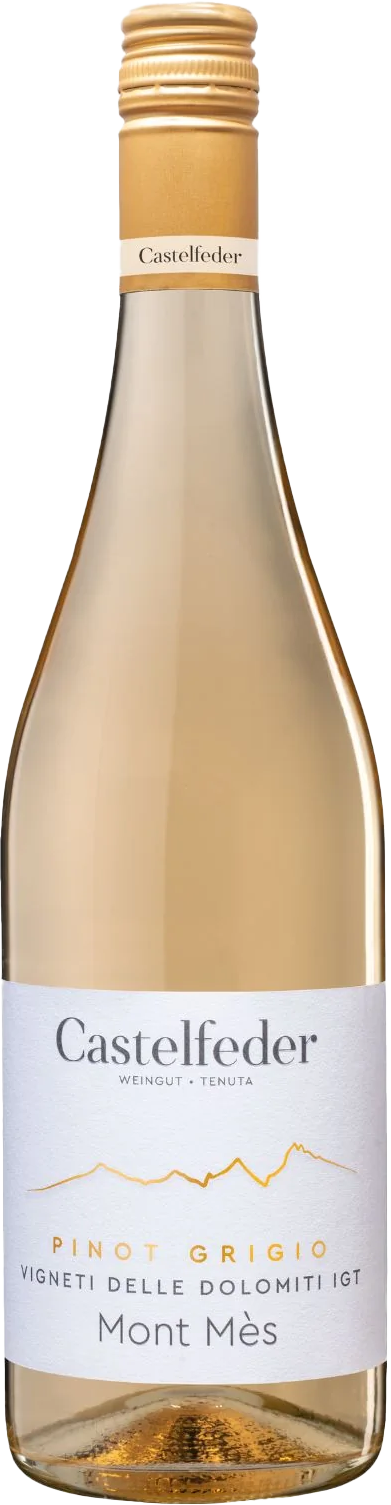 Pinot Grigio "Mont Més"   2025 1