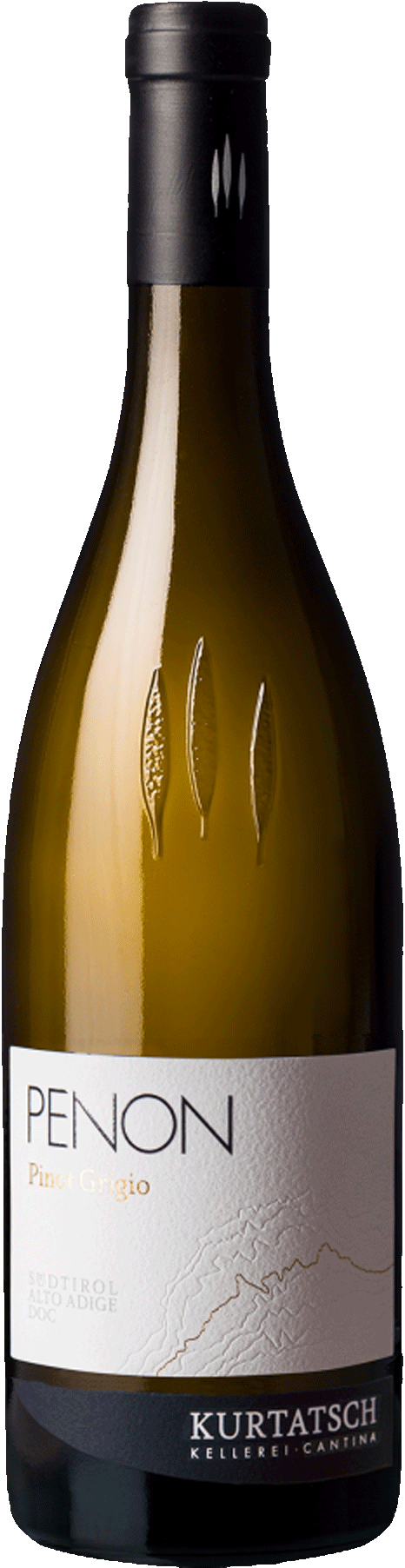 Pinot Grigio "Penon" 2024 1