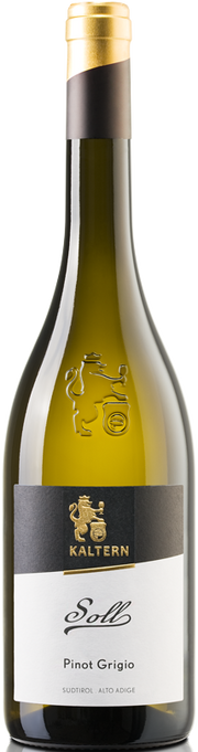 Pinot Grigio "Soll" 2024 1