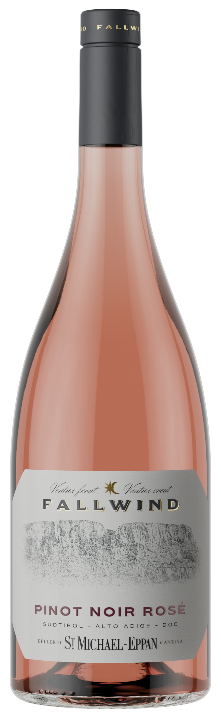 Pinot Noir Rose "Fallwind" 2025 1