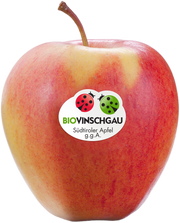 Pinova Apfelkiste Bio 1