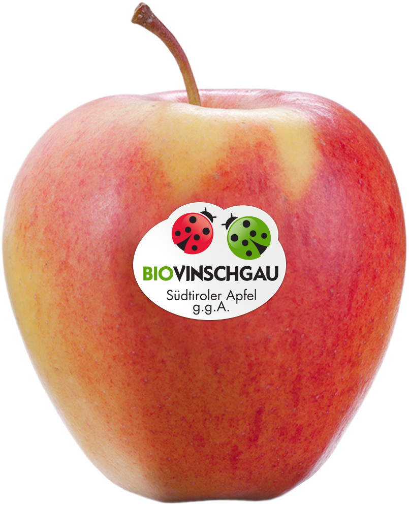 Pinova Apfelkiste Bio 1