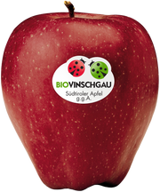 Red Delicious Apfelkiste Bio 1