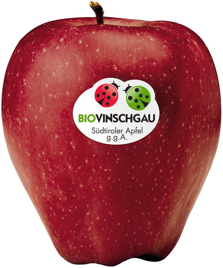 Red Delicious Apfelkiste Bio 1