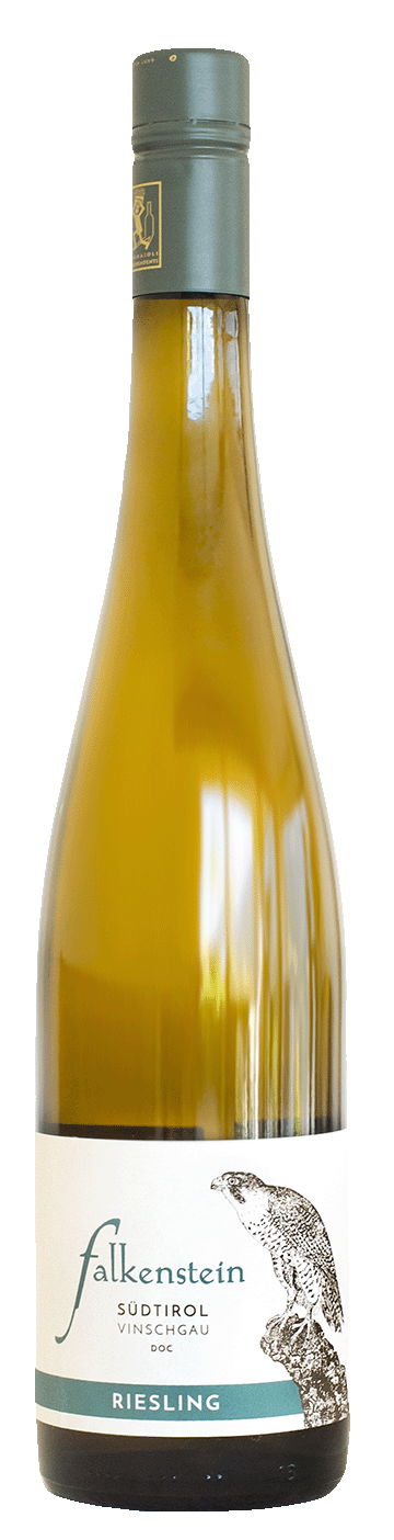 Riesling "Falkenstein" 2024 1