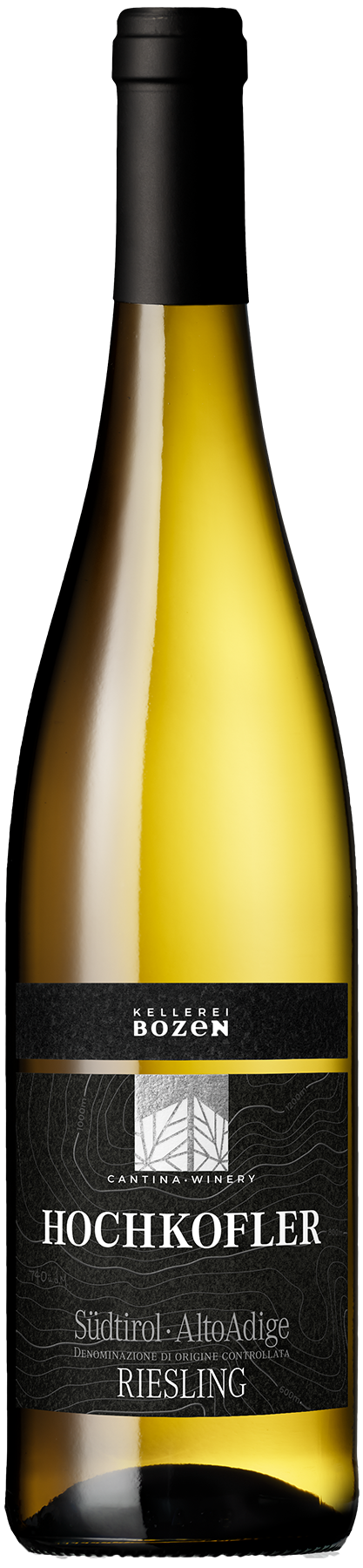 Riesling "Hochkofler" 2024 1