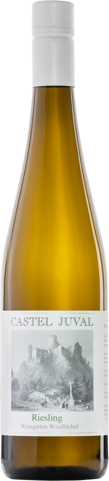 Riesling "Weingarten Windbichel" 2023 1