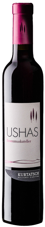 Rosenmuskateller "Ushas" 2023 1