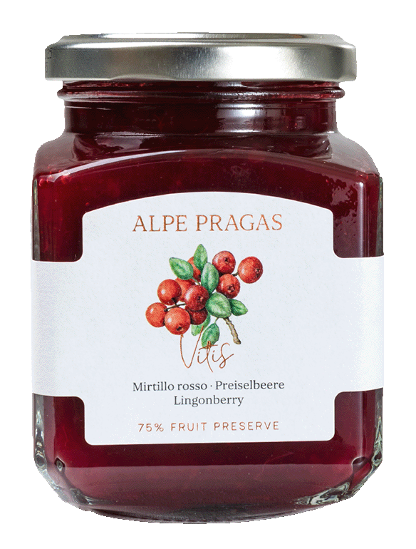 Rote Johannisbeere Fruchtaufstrich 1