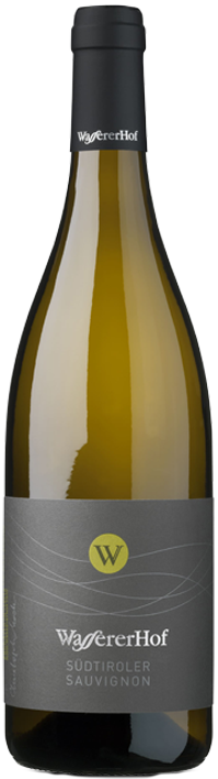 Sauvignon 2022 1