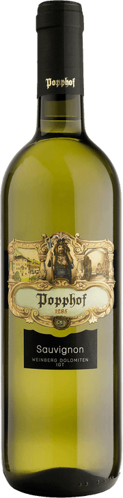 Sauvignon  2023 1