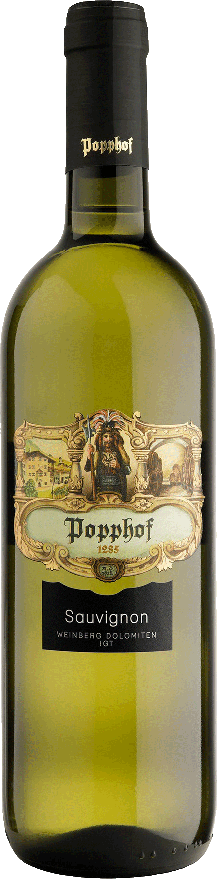 Sauvignon  2023 1