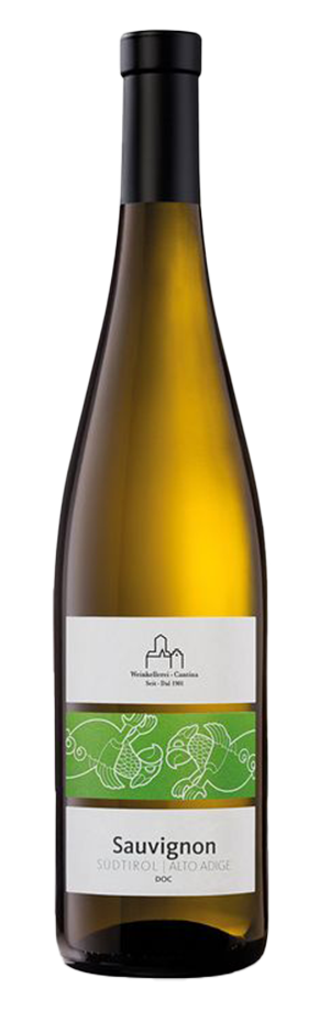 Sauvignon 2023 1