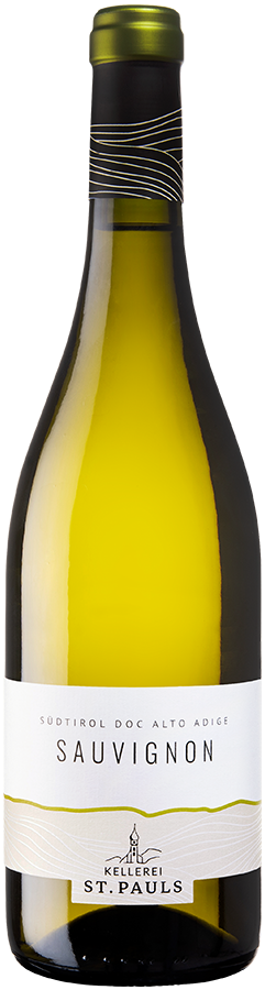 Sauvignon 2024 1