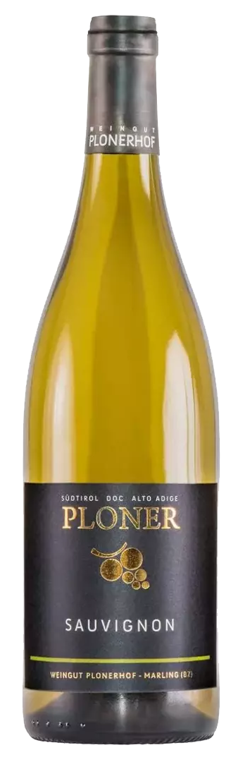 Sauvignon 2024 1