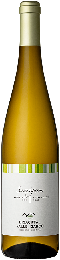 Sauvignon 2025 1