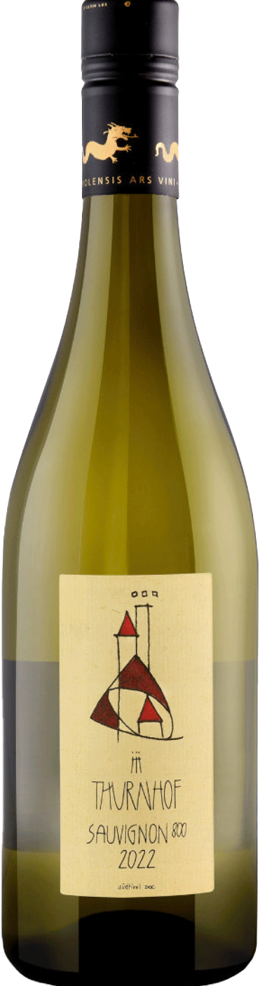 Sauvignon "800" 2022 1