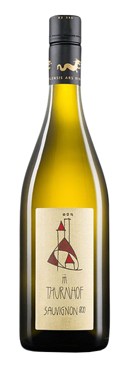 Sauvignon "800" 2023 1