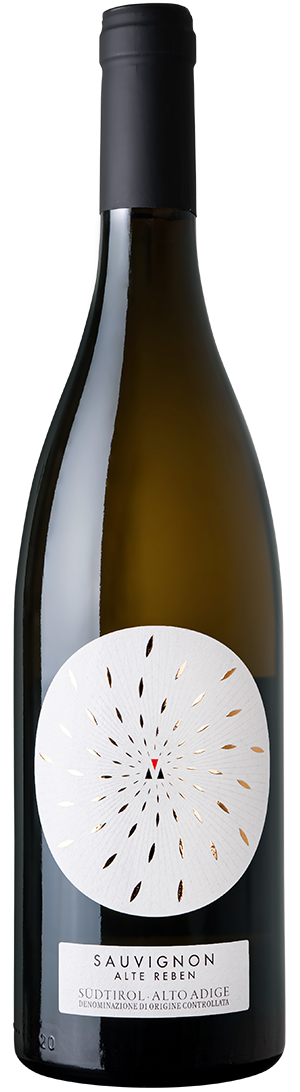 Sauvignon Alte Rebe 2021 1