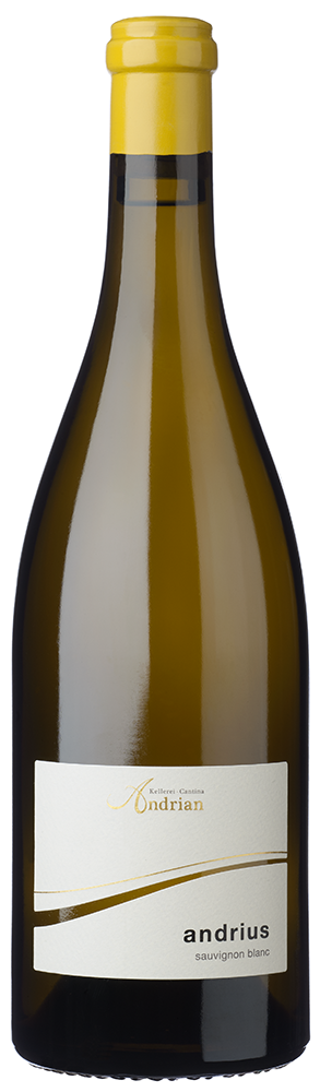 Sauvignon "Andrius" 2023 1