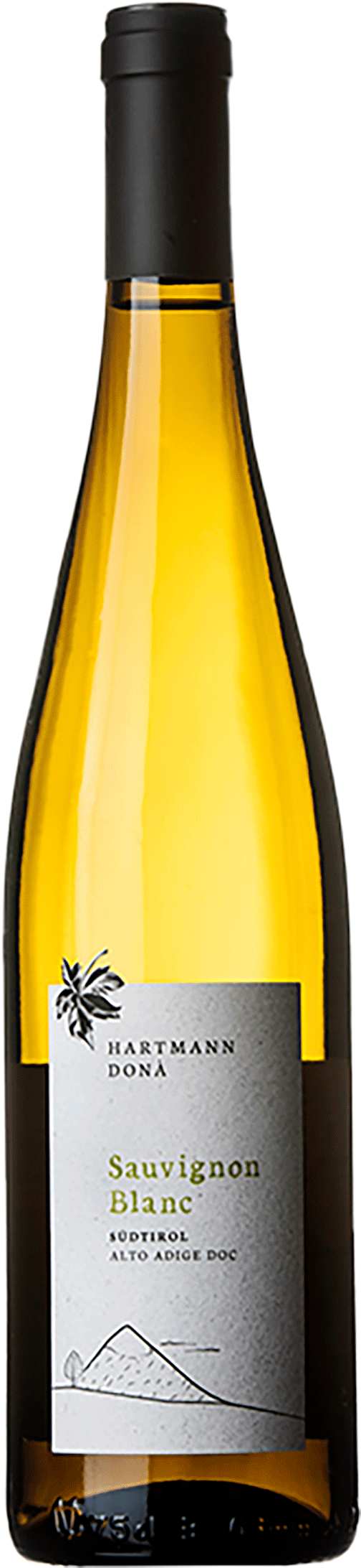 Sauvignon Blanc 2022 1