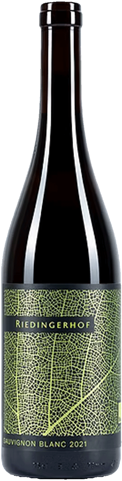 Sauvignon Blanc Bio 2021 1