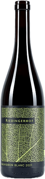 Sauvignon Blanc Bio 2023 1