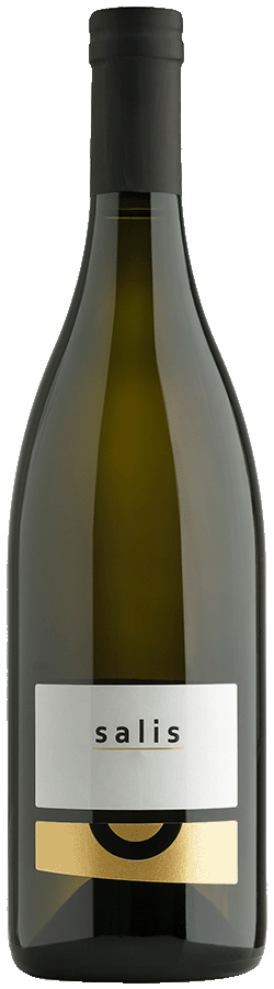 Sauvignon Blanc "Salis" 2019 1