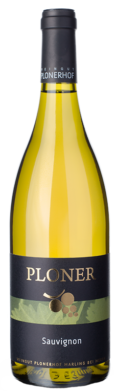 Sauvignon "Exclusiv" 2023 1
