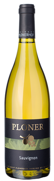 Sauvignon "Exclusiv" 2025 1