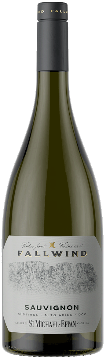 Sauvignon „Fallwind“  2025 1