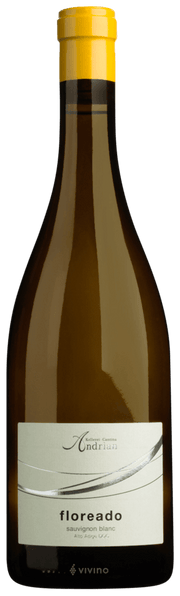 Sauvignon "Floreado" 2024 1