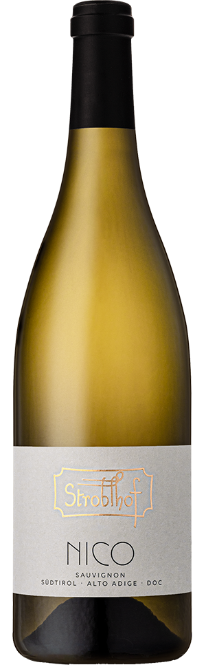 Sauvignon "Nico" 2023 1