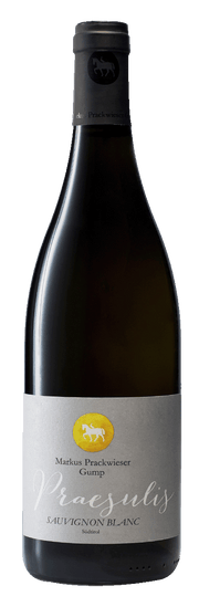 Sauvignon "Praesulis" 2024 1