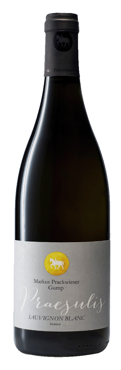 Sauvignon "Praesulis" 2024 1