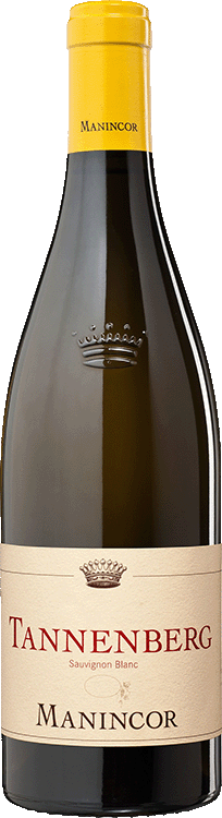 Sauvignon "Tannenberg" Bio 2023 1