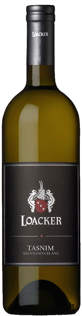 Sauvignon "Tasnim" Bio 2024 1