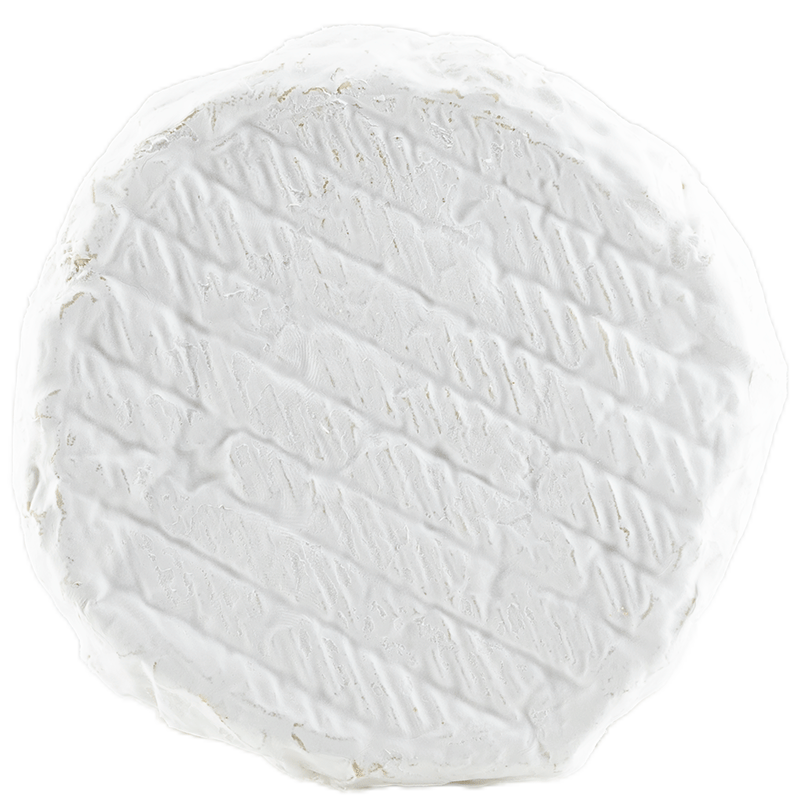 Schafscamembert BIO 4