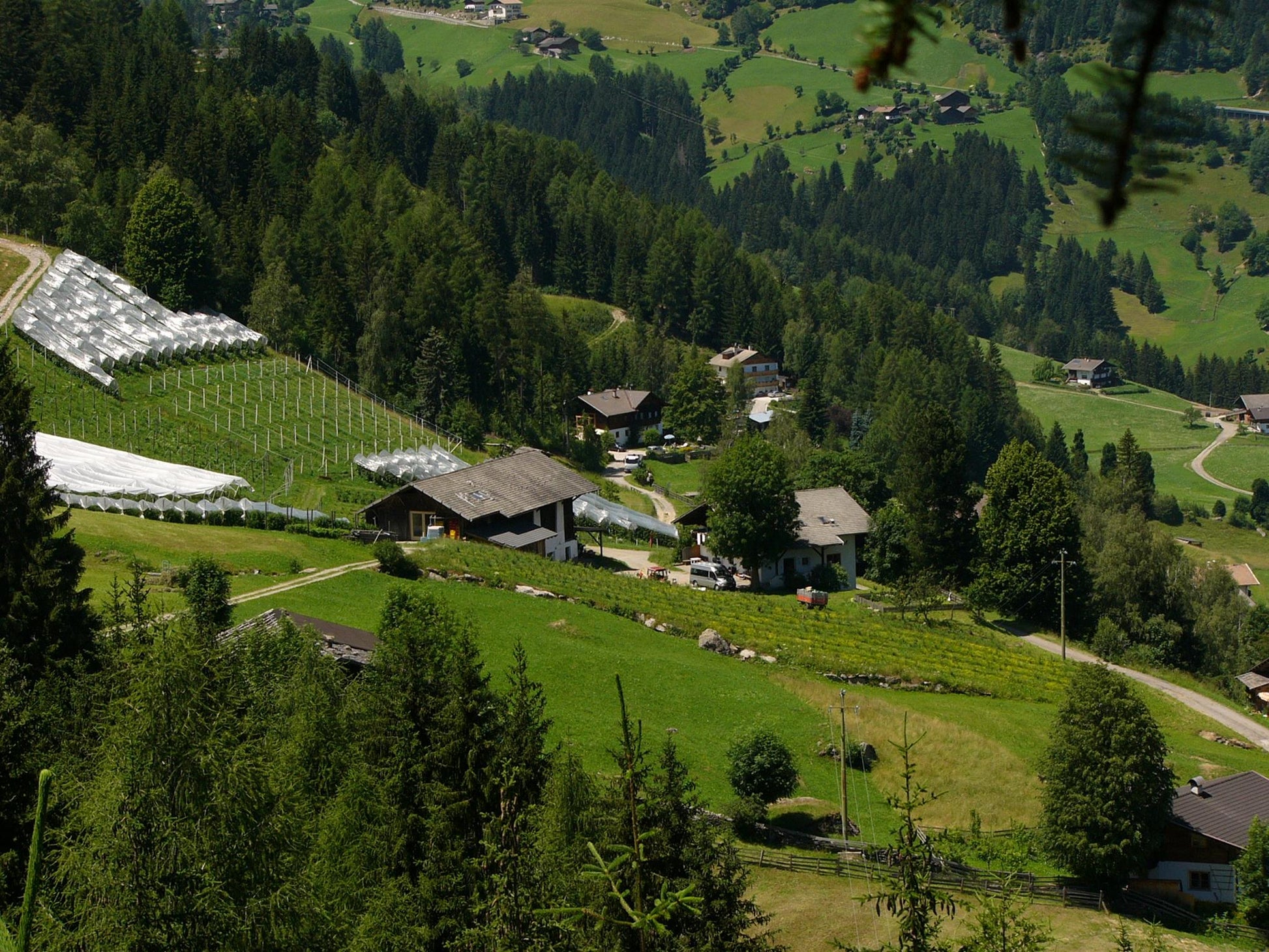 Schmiedhof 1