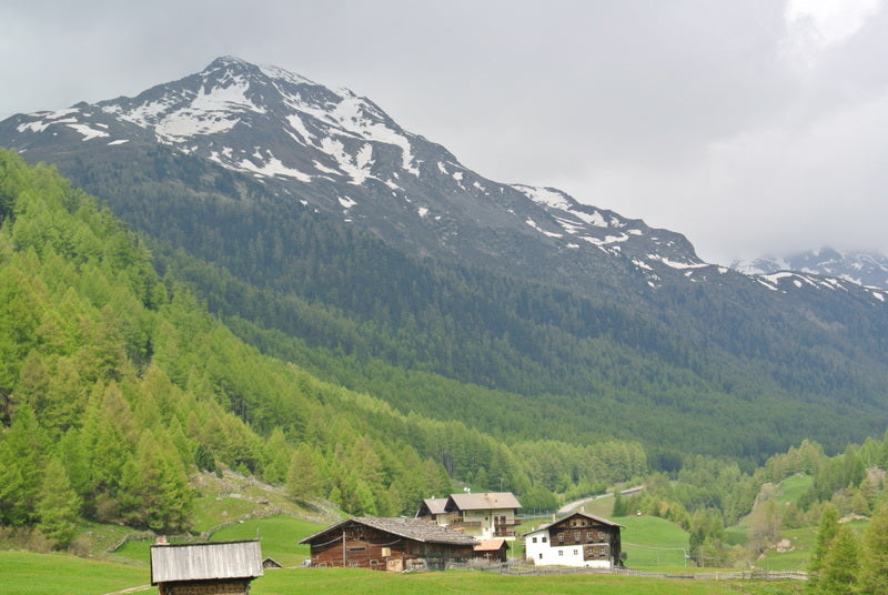 Schnalser Säge 4