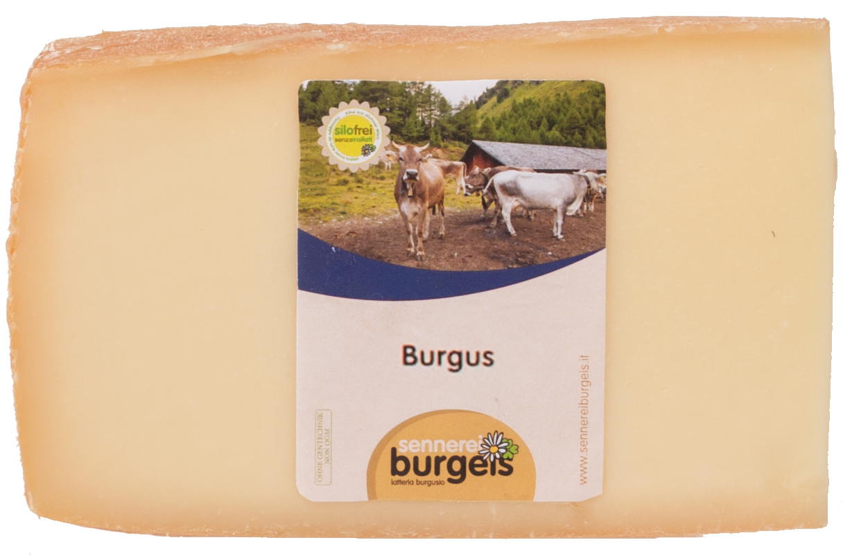 Schnittkäse "Burgus"  4