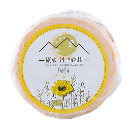 Schnittkäse "Pfiffige Tanja" 4