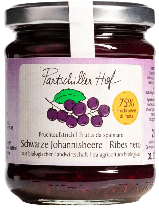 Schwarzer- Johannisbeer- Aufstrich Bio 1