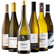 Selektion "Gewürztraminer" 1