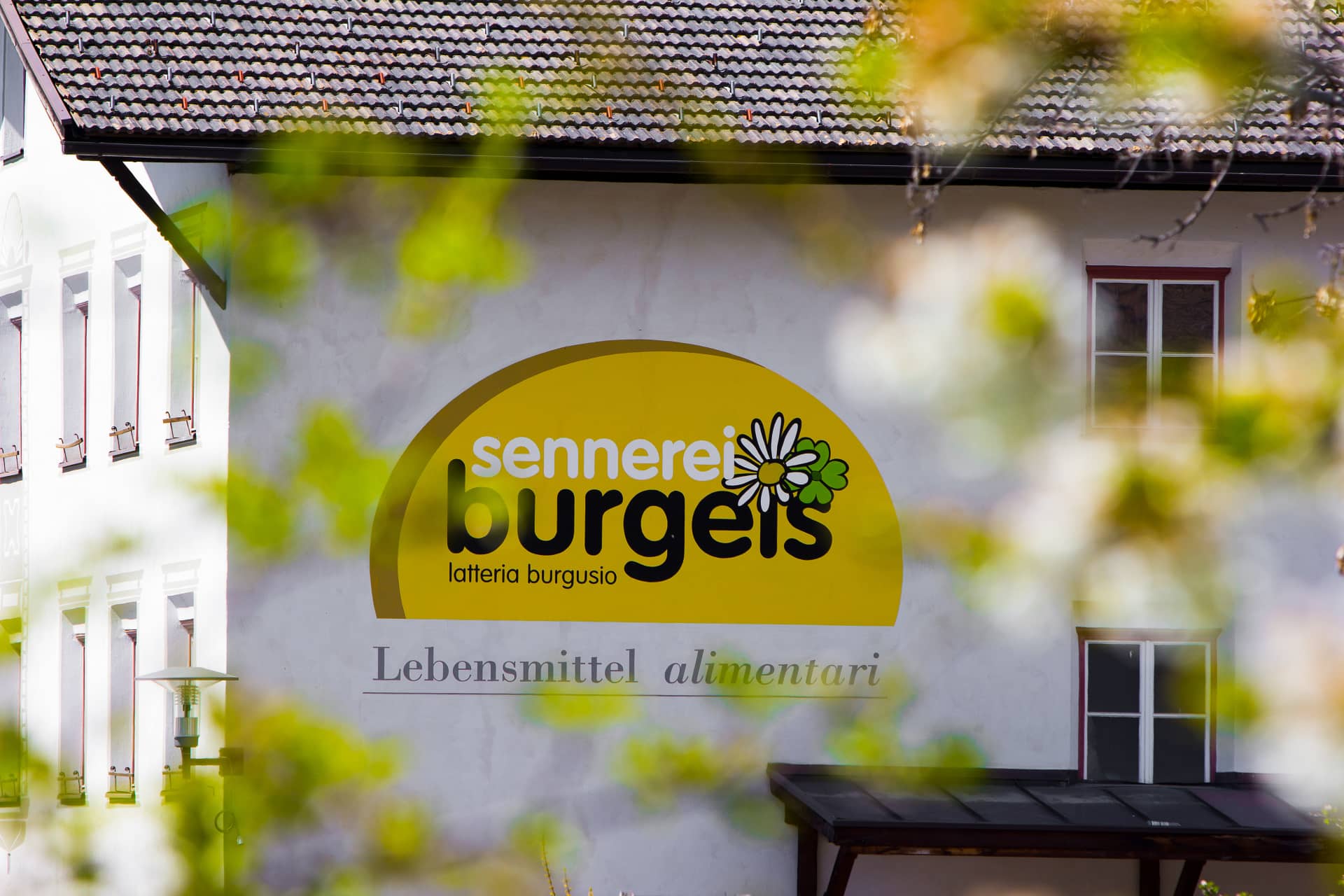 Sennerei Burgeis 1