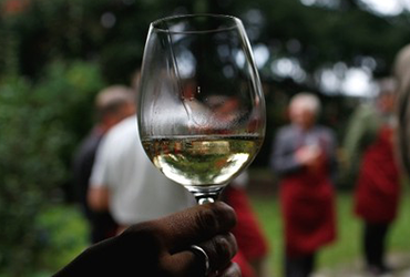 Stachlburg Schlossweingut  1