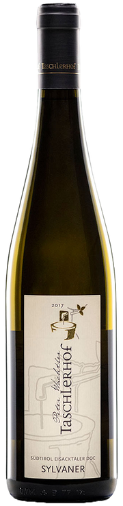 Sylvaner 2024 1