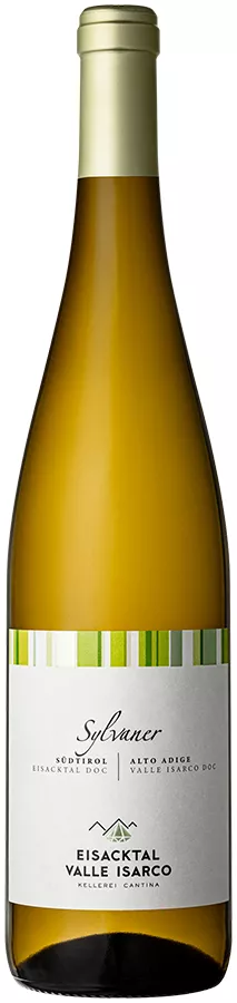 Sylvaner 2024 1
